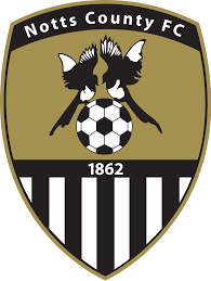 https://img.tkfkc.com/img/football/team/9e230c89a846b9cadf91884918fa7611.png