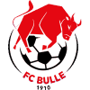 https://img.tkfkc.com/img/football/team/b201265fa89720bf8cd8ef95549a4738.png